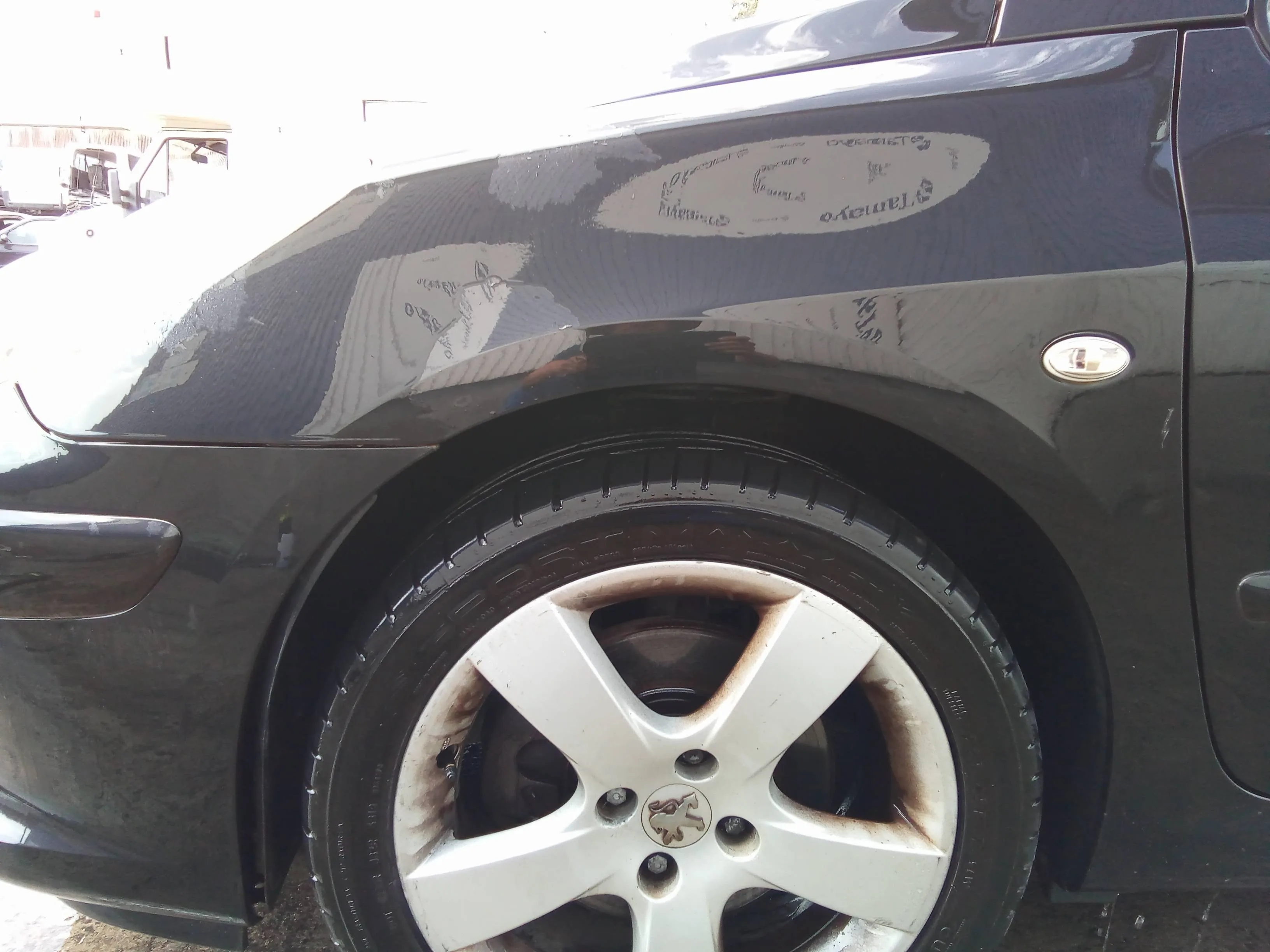 Aleta Delantera Izquierda para Peugeot 307 Cc (S2)