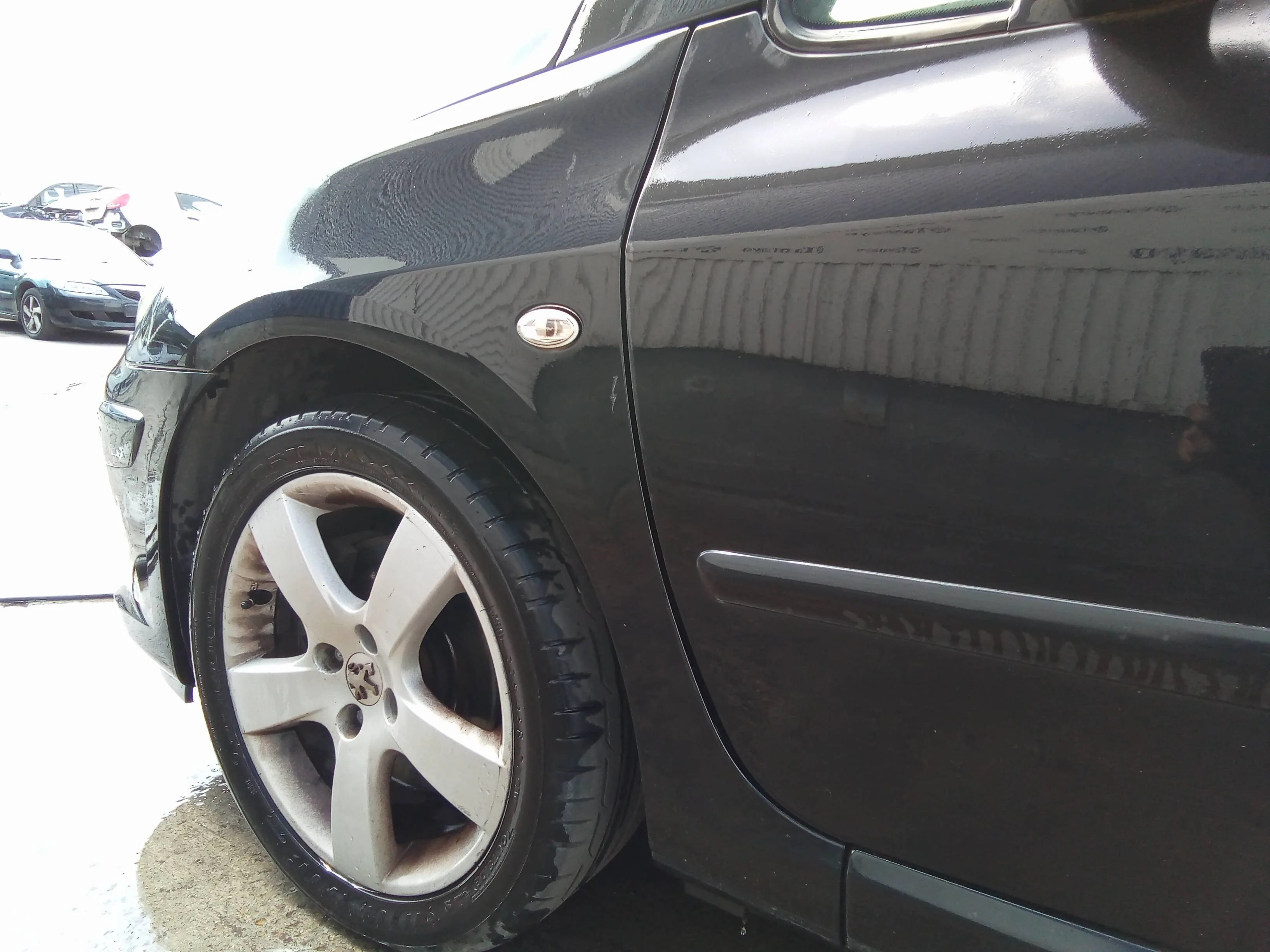 Aleta Delantera Izquierda para Peugeot 307 Cc (S2)