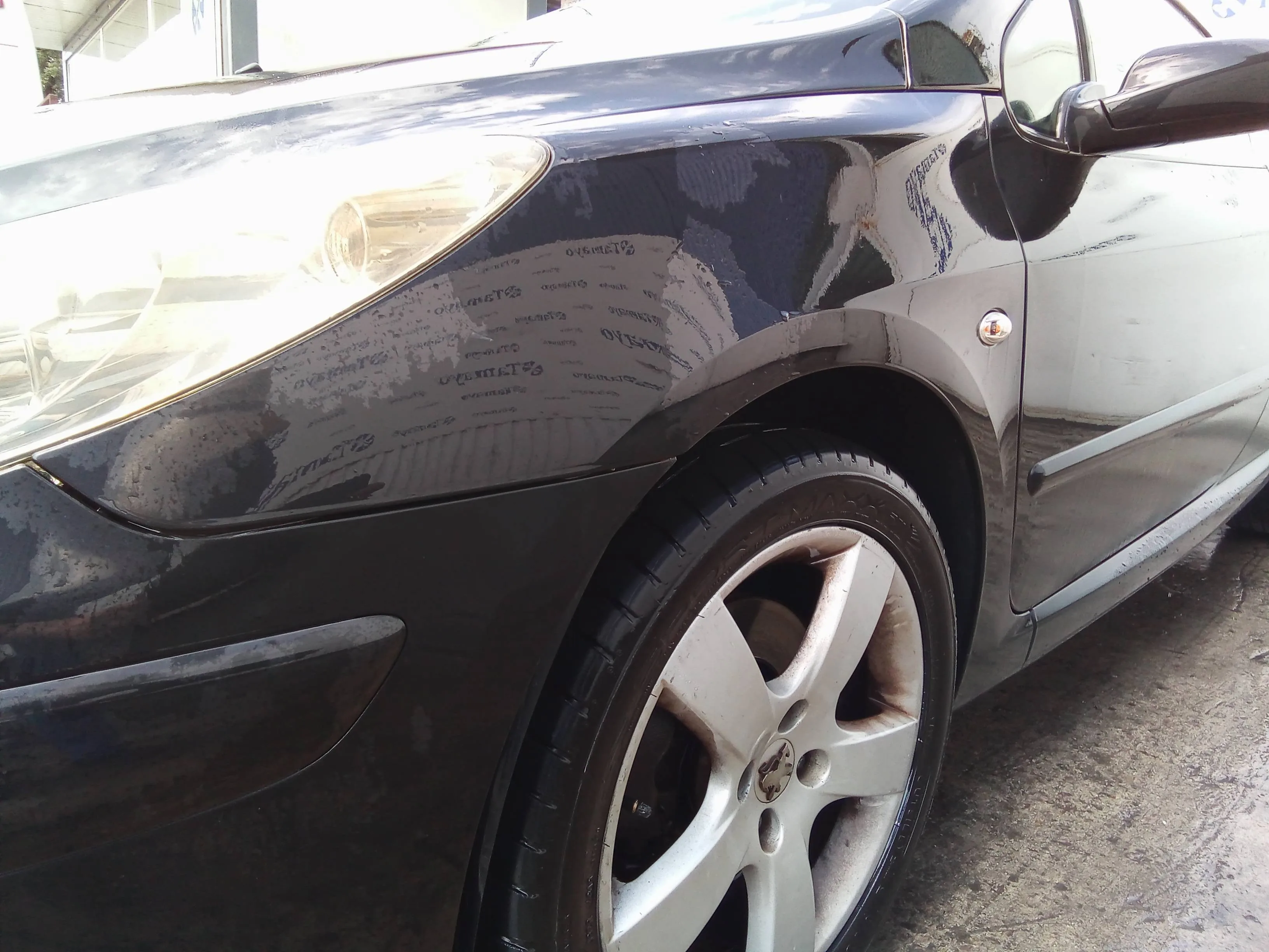 Aleta Delantera Izquierda para Peugeot 307 Cc (S2)