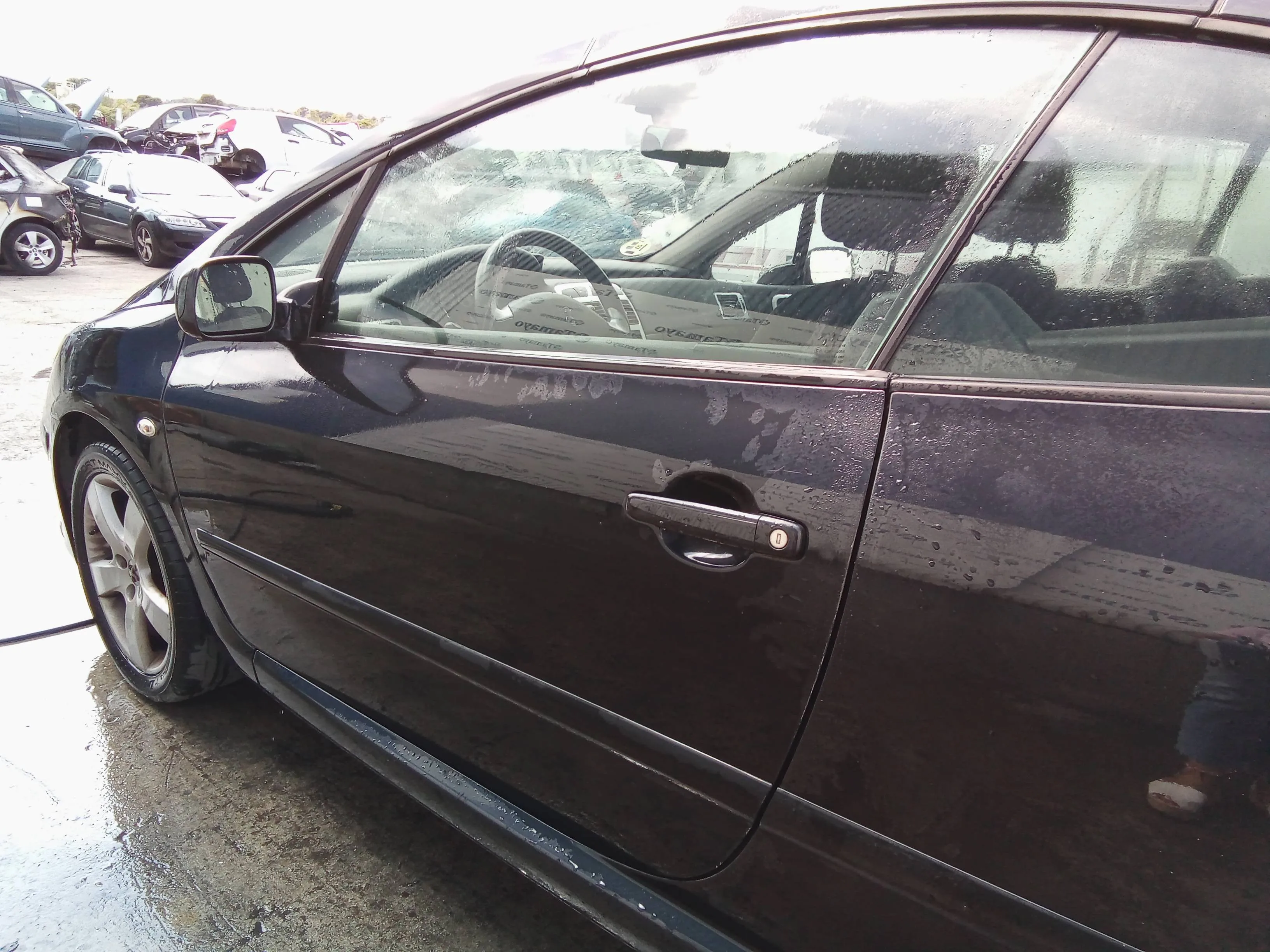Puerta Delantera Izquierda para Peugeot 307 Cc (S2)