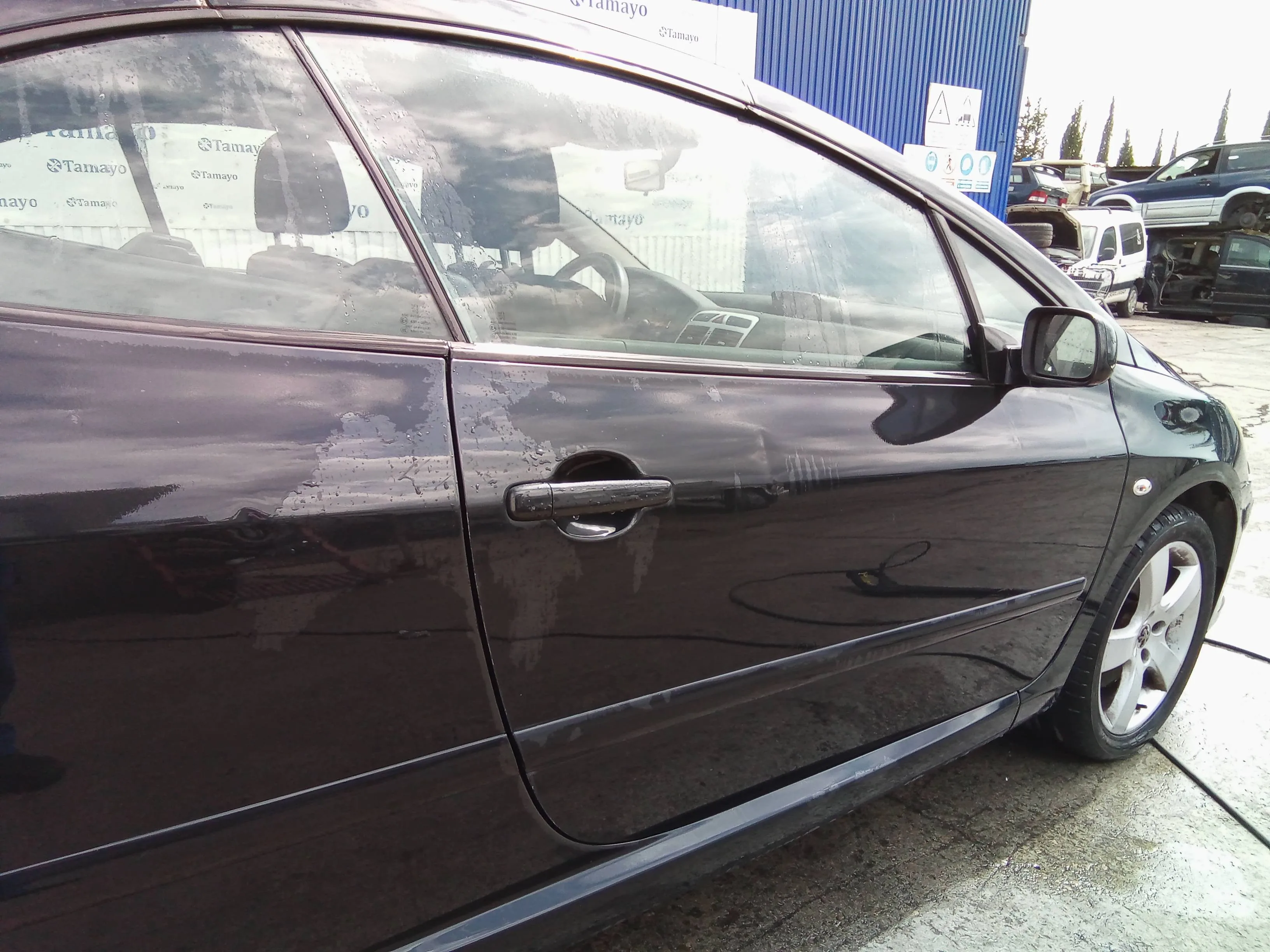 Puerta Delantera Derecha para Peugeot 307 Cc (S2)