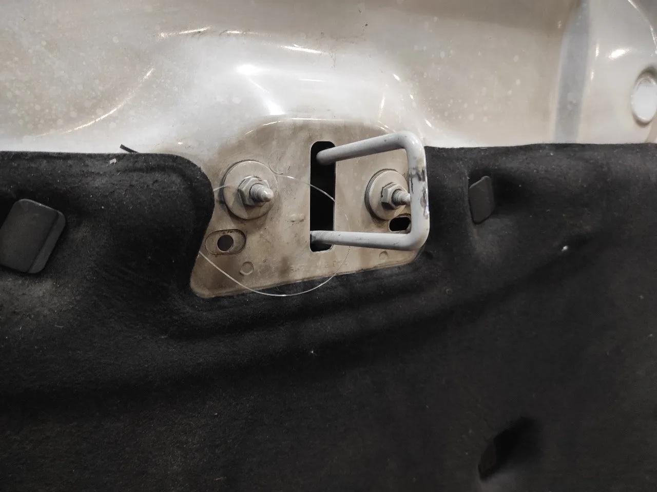 Capot para Ford Focus Turn.