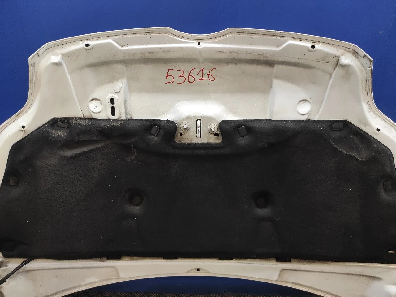 Capot para Ford Focus Turn.