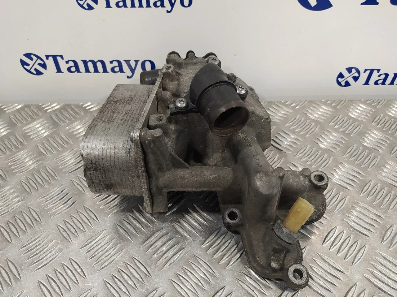 Enfriador Aceite Motor para Nissan Primastar (X..)