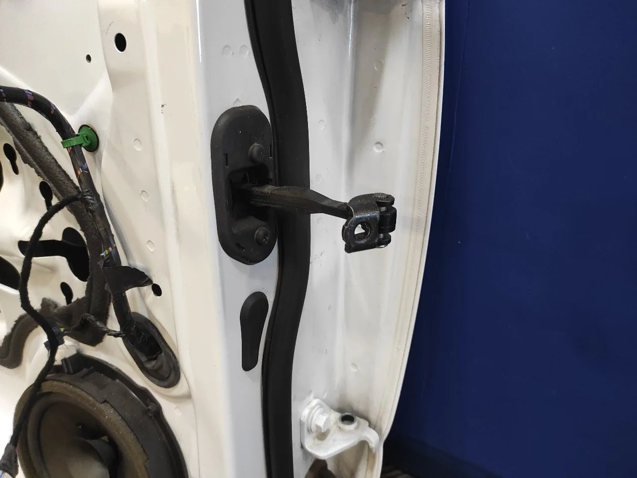 Puerta Trasera Izquierda para Ford Focus Turn.