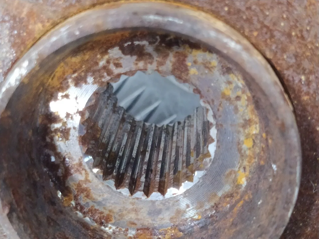 Mangueta Delantera Izquierda para Fiat Bravo (198)