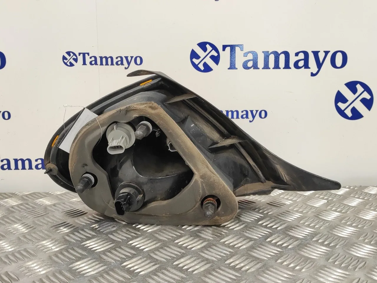 Piloto Trasero Derecho para Chrysler Neon (Pl)