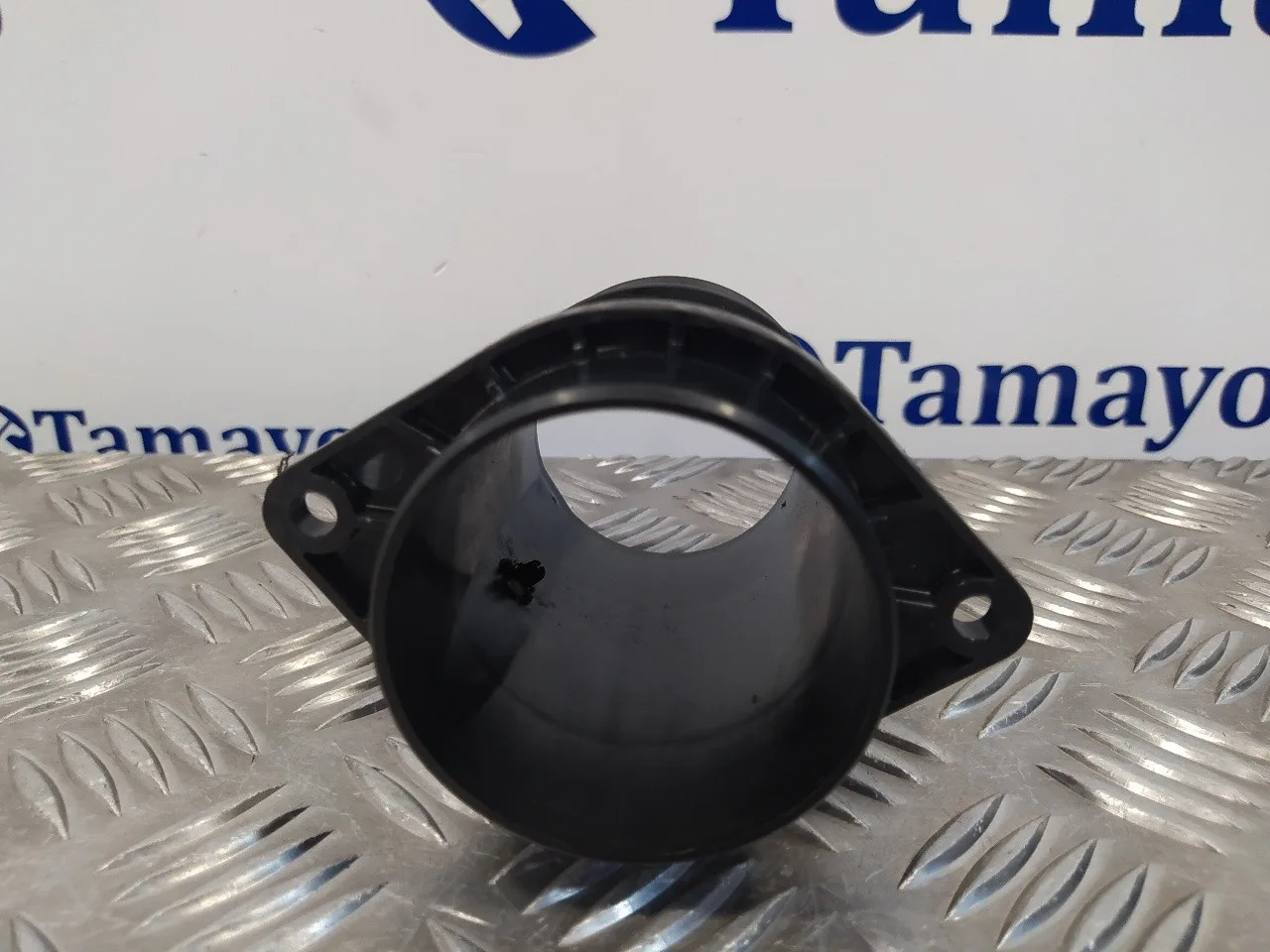 Caudalimetro para Renault Kangoo