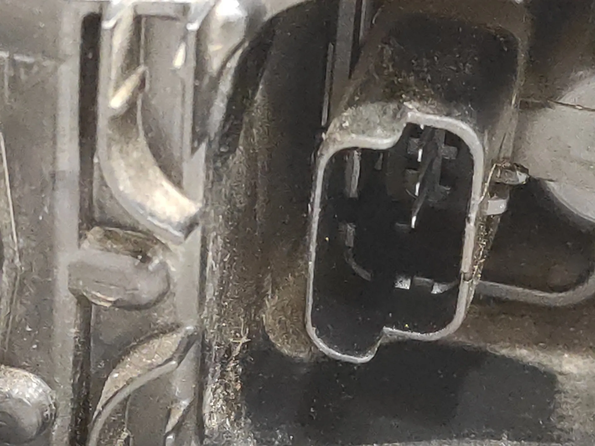 Piloto Trasero Derecho para Renault Clio Iv