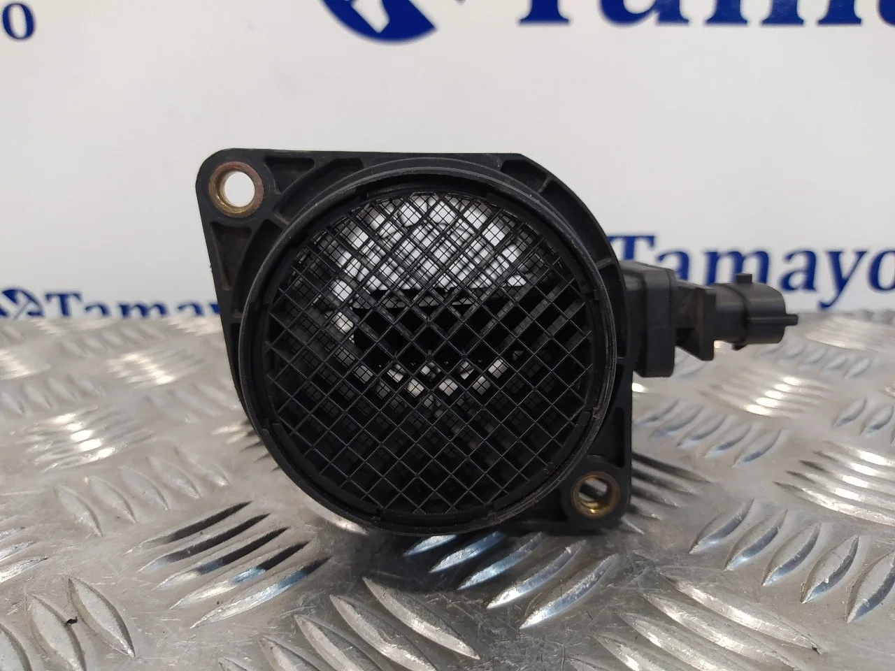 Caudalimetro para Fiat Doblo (119)
