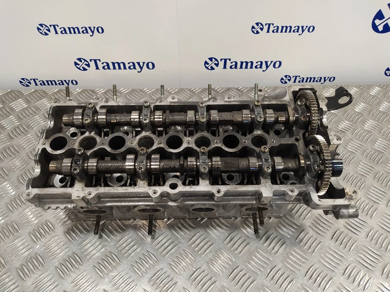 Culata para Bmw Serie 3 Berlina (E46)