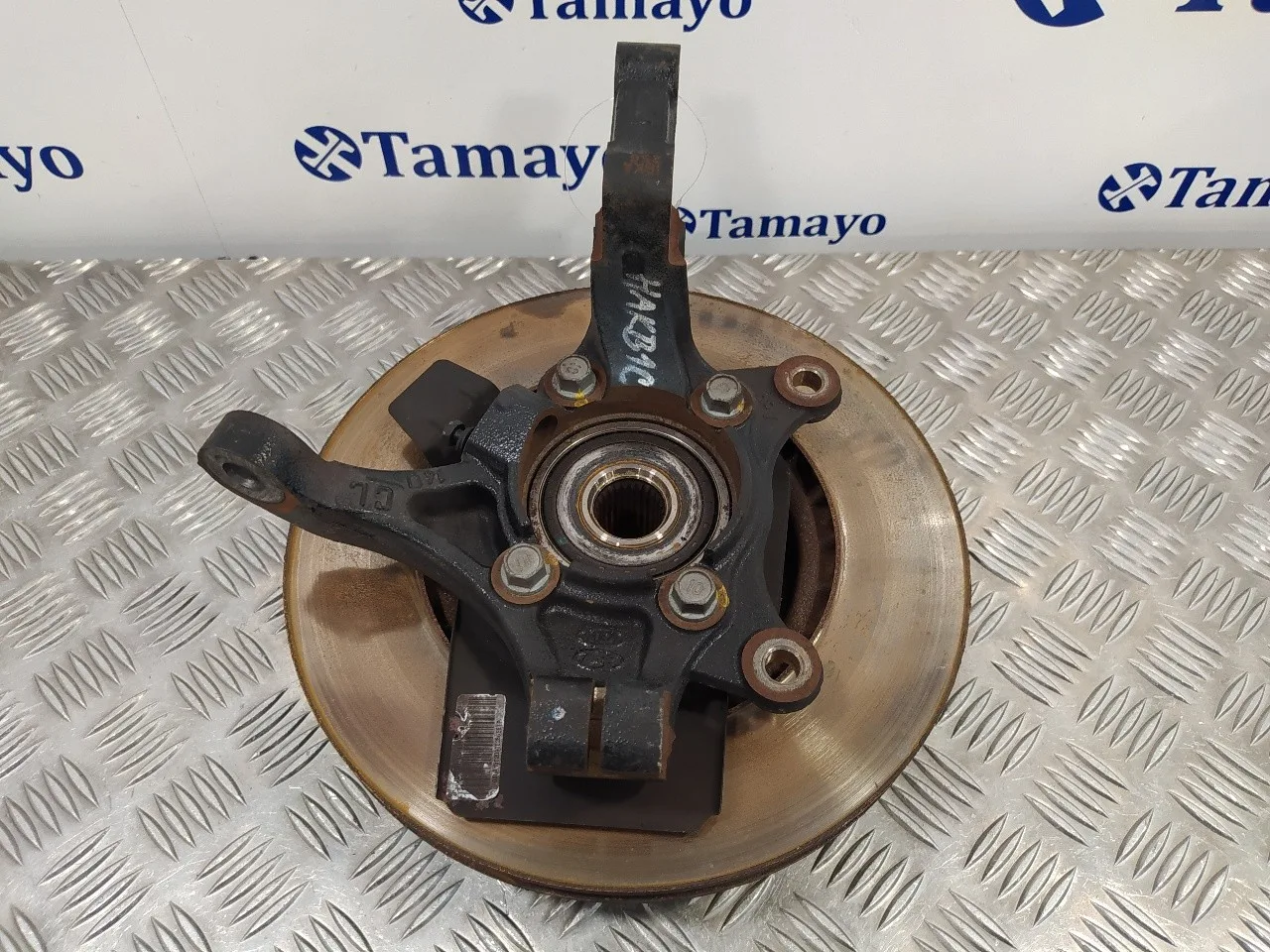 Mangueta Delantera Izquierda para Hyundai I30 (Gd)