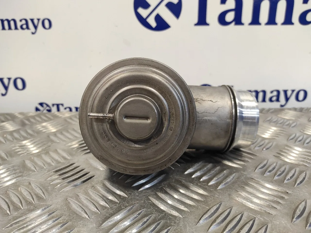 Valvula Egr para Bmw X3 (E83)