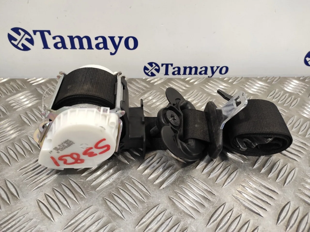 Cinturon Seguridad Delantero Derecho para Bmw X1 (E84)
