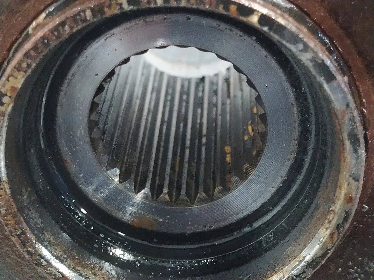 Mangueta Trasera Izquierda para Subaru Forester S12