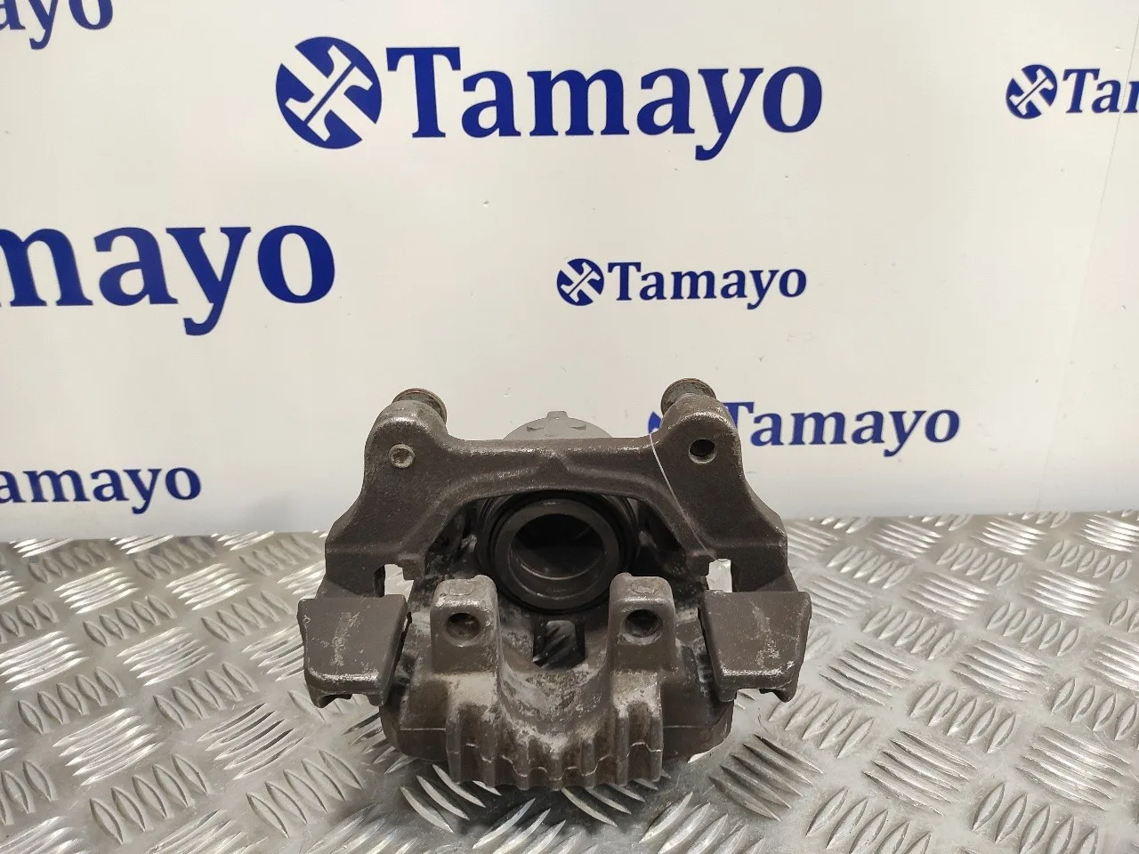 Pinza Freno Delantera Derecha para Bmw X1 (E84)