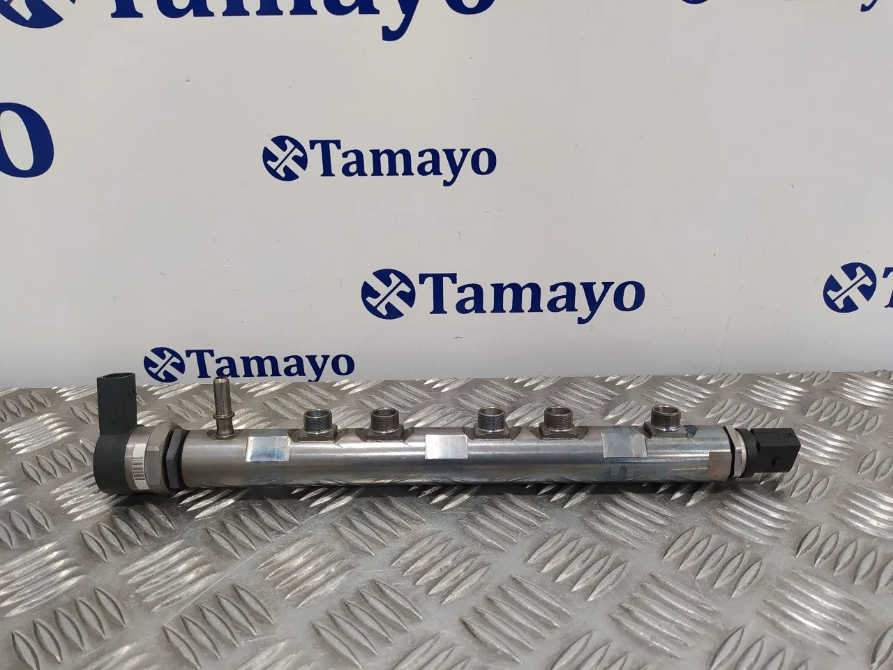 Rampa Inyectora para Bmw X1 (E84)