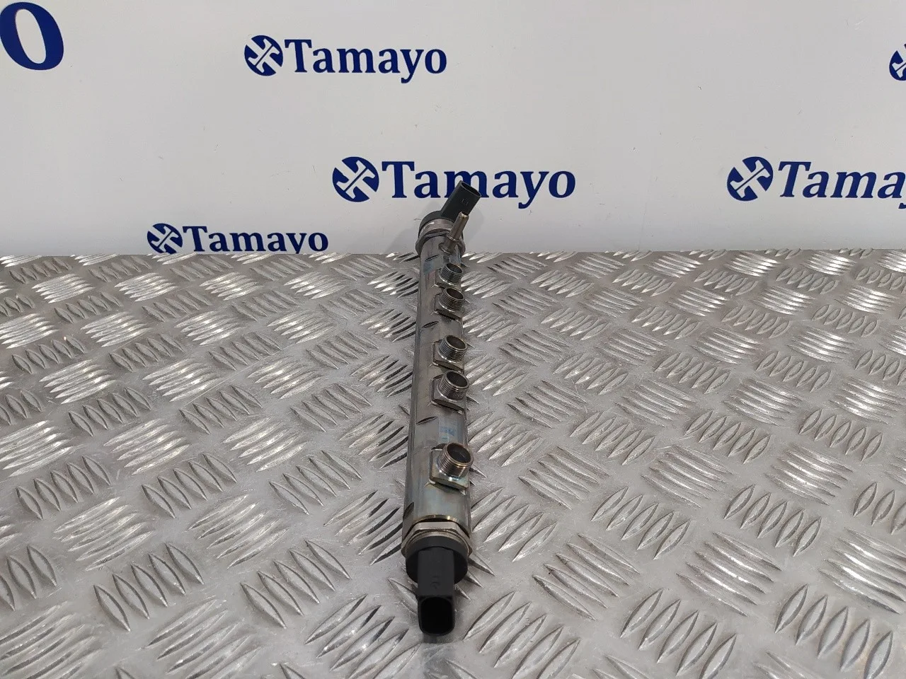 Rampa Inyectora para Bmw X1 (E84)