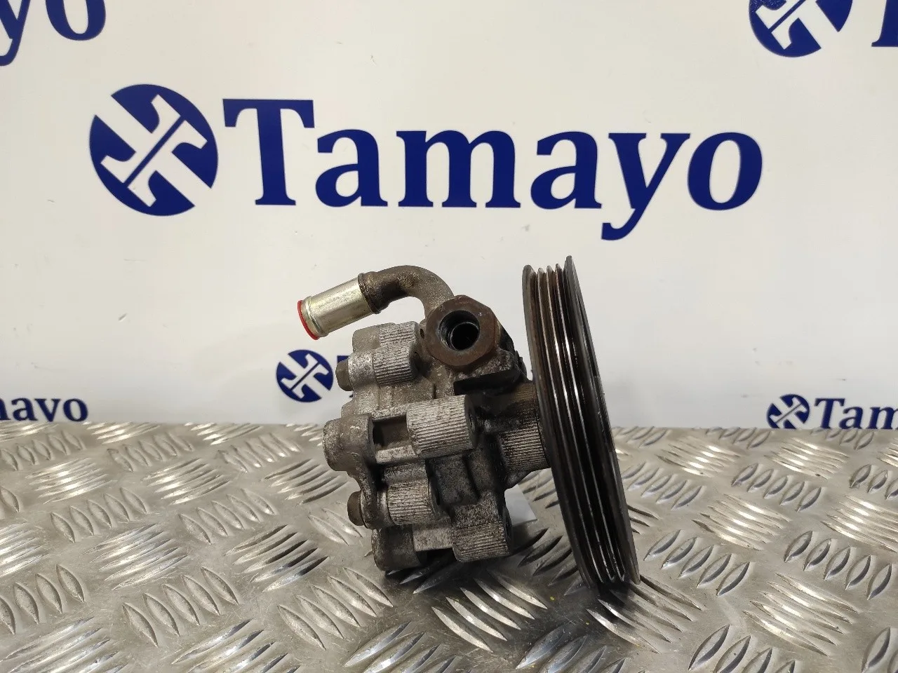 Bomba Direccion para Chrysler Voyager (Rg)