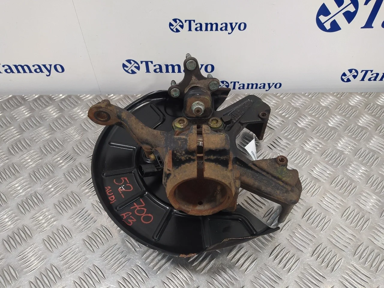 Mangueta Delantera Derecha para Audi A3 (8P)