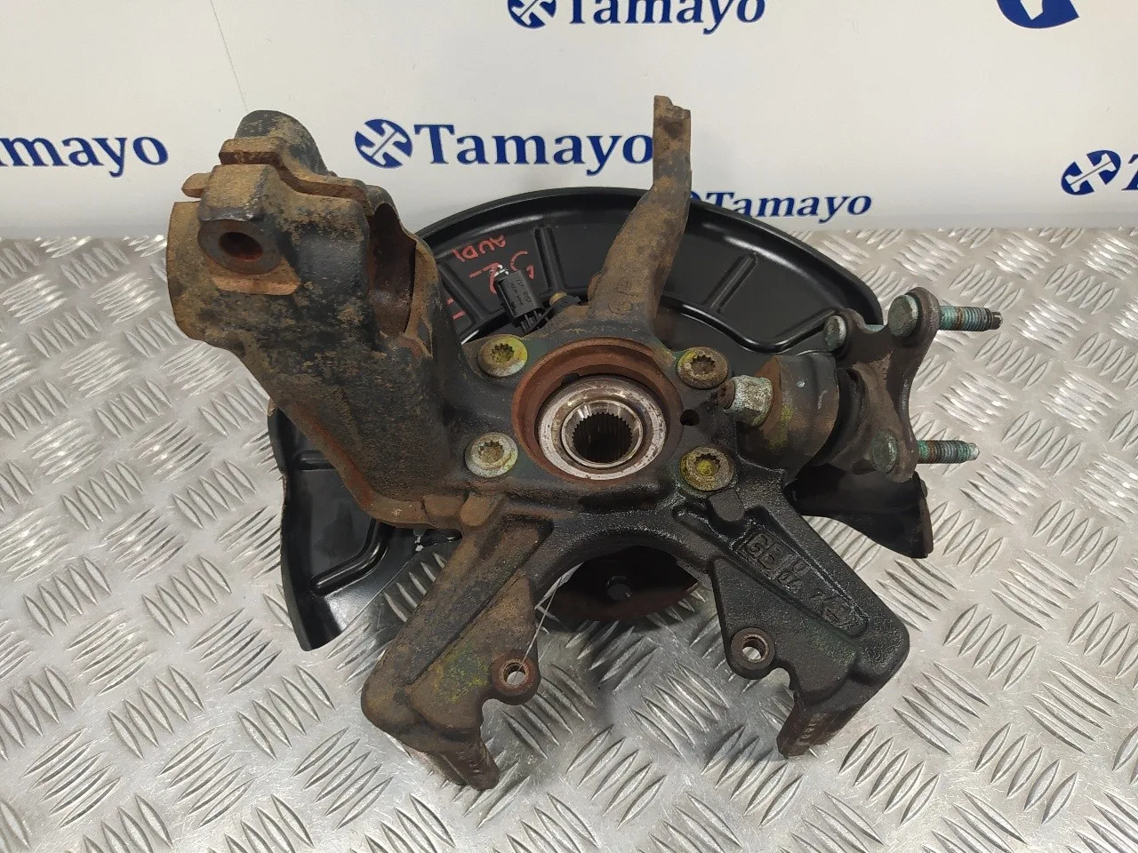 Mangueta Delantera Derecha para Audi A3 (8P)
