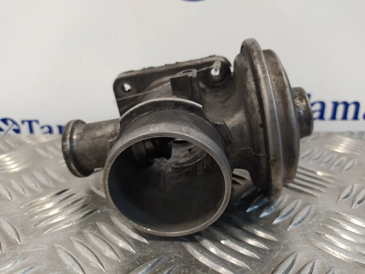 Valvula Egr para Bmw Serie 3 Berlina (E46)