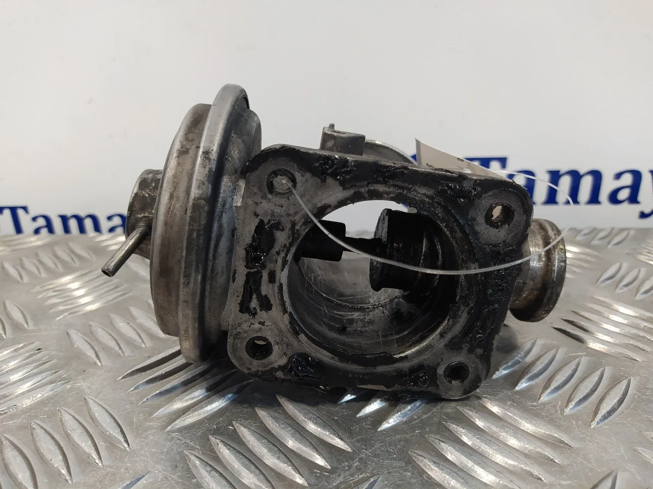 Valvula Egr para Bmw Serie 3 Berlina (E46)