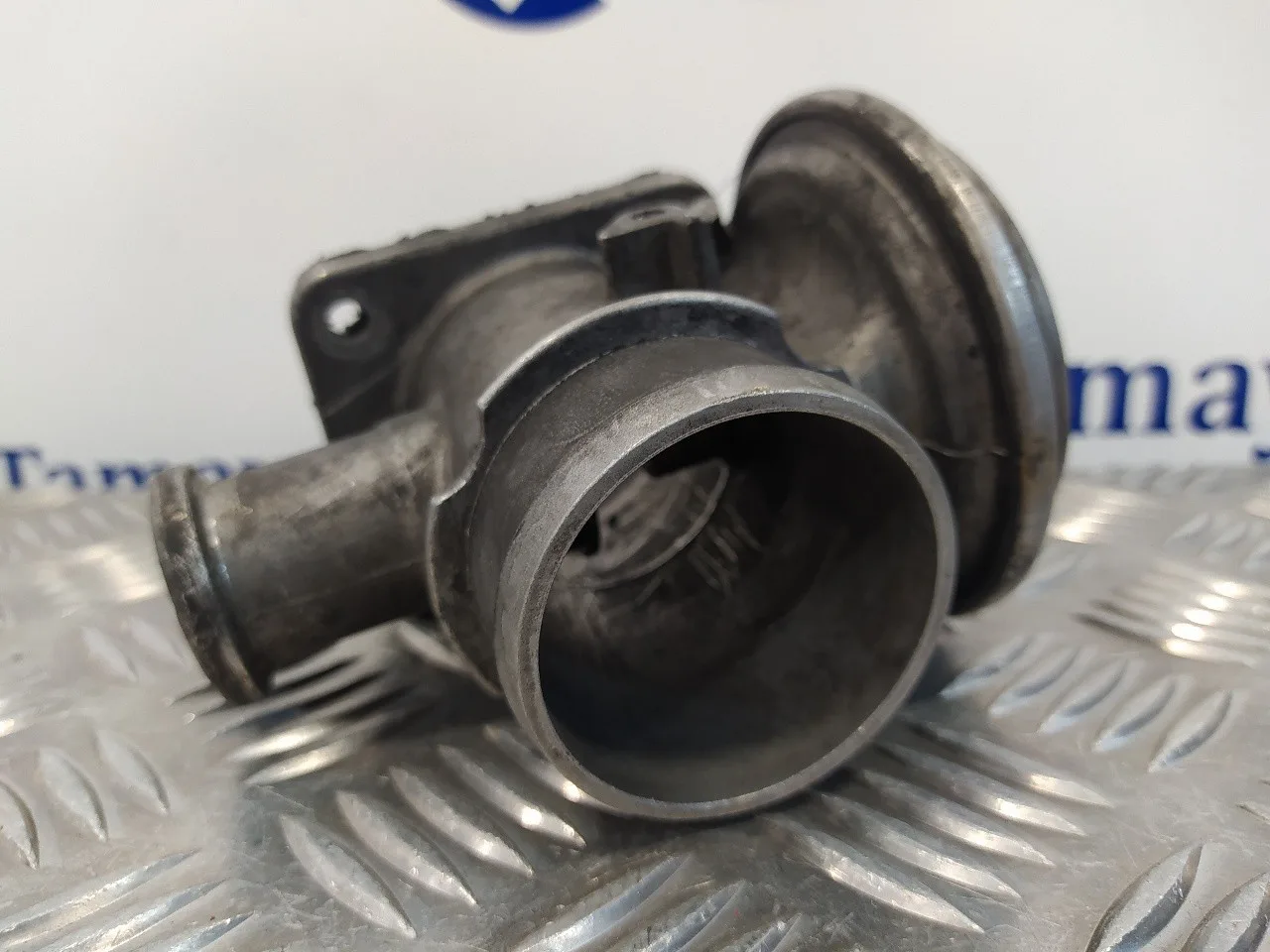 Valvula Egr para Bmw Serie 3 Berlina (E46)