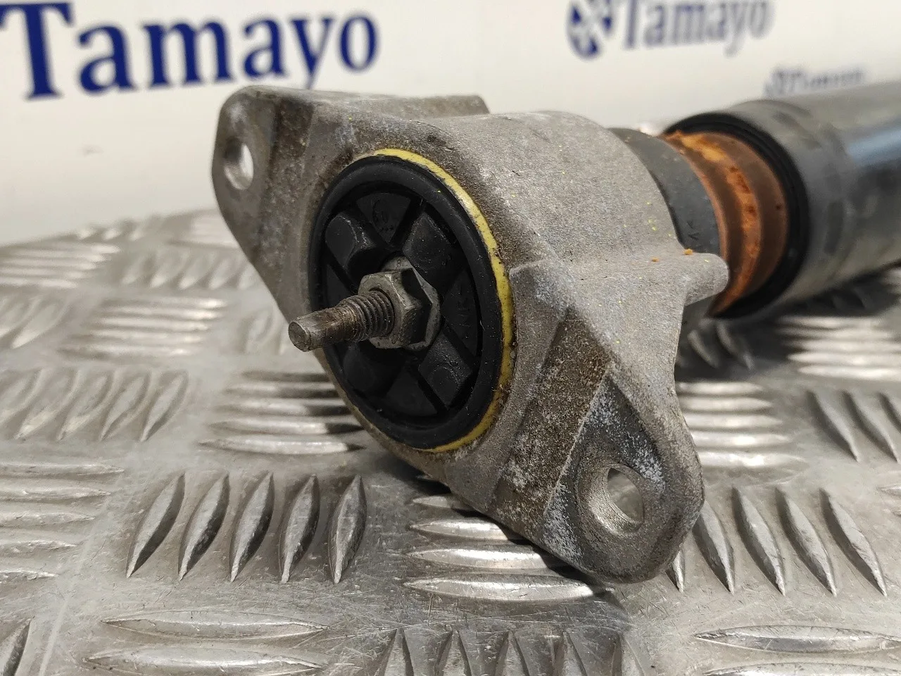Amortiguador Trasero Derecho para Ford Kuga (Cbv)