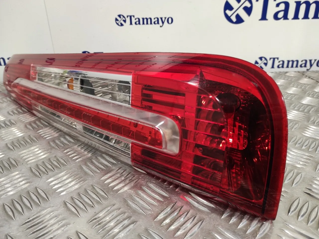 Piloto Trasero Derecho para Ford Focus C-Max (Cap)