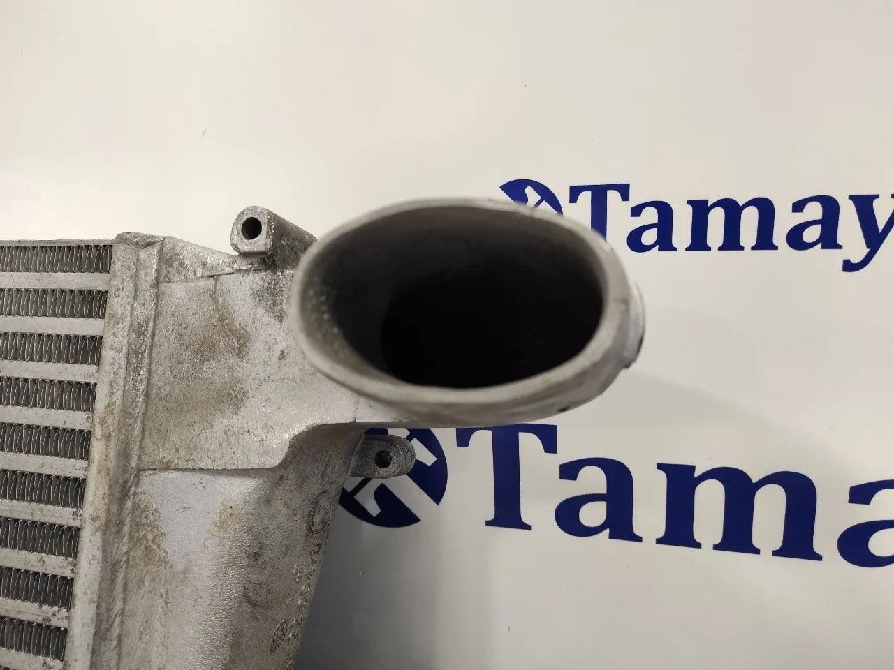 Intercooler para Nissan Cabstar Tl35