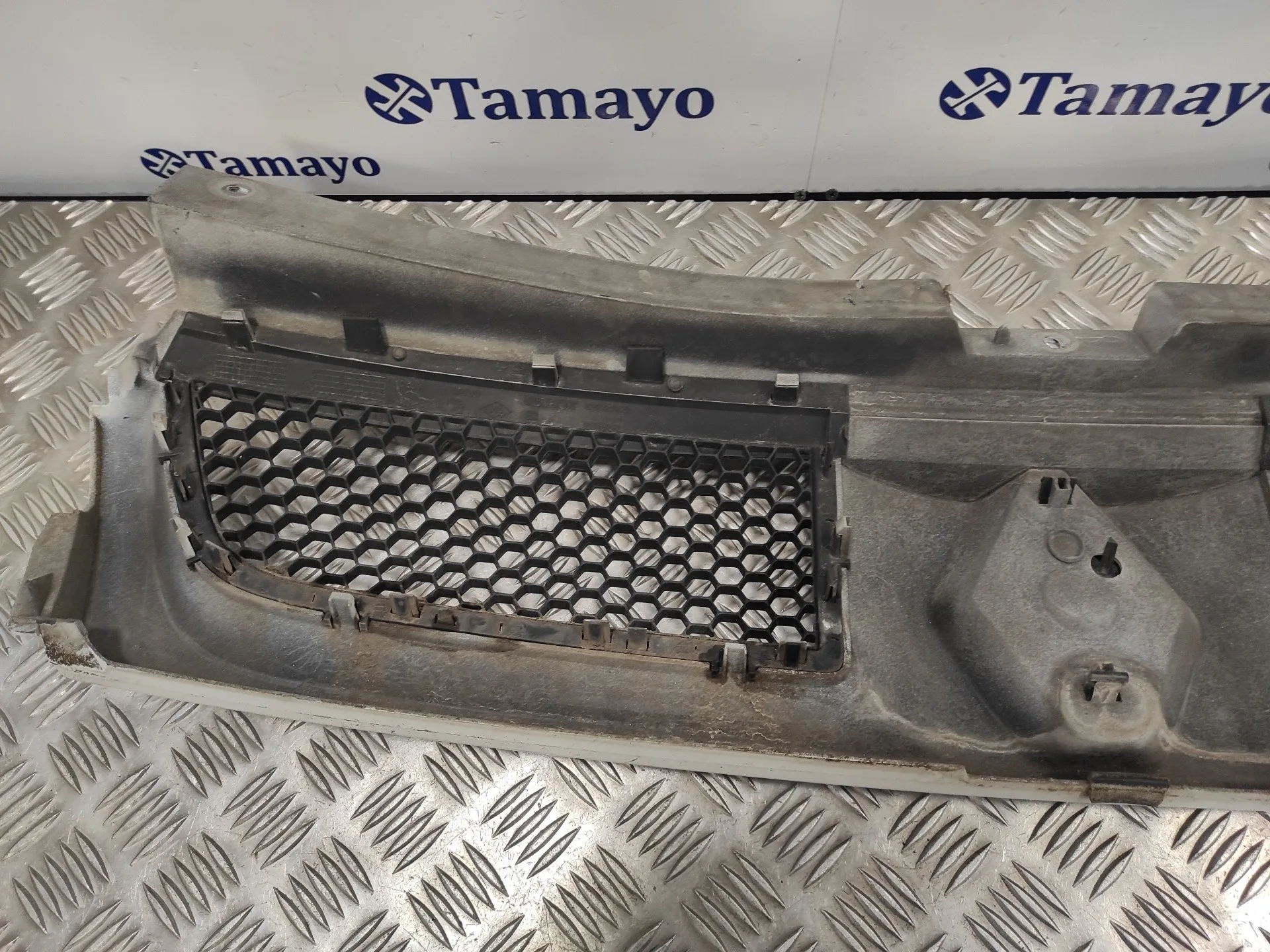 Rejilla Delantera para Renault Trafic Combi (Ab 4.01)