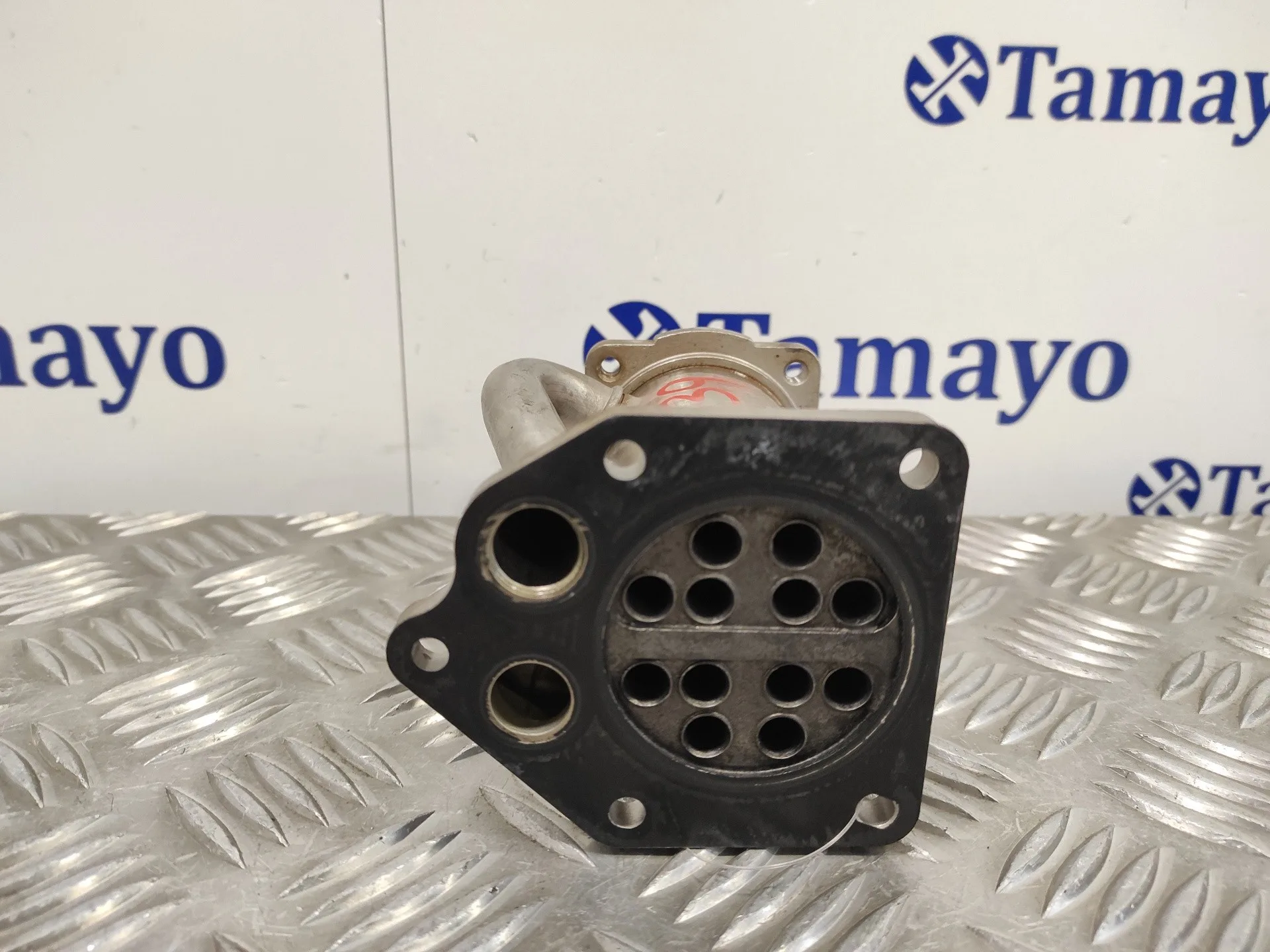 Enfriador Egr para Renault Kangoo (F/Kc0)