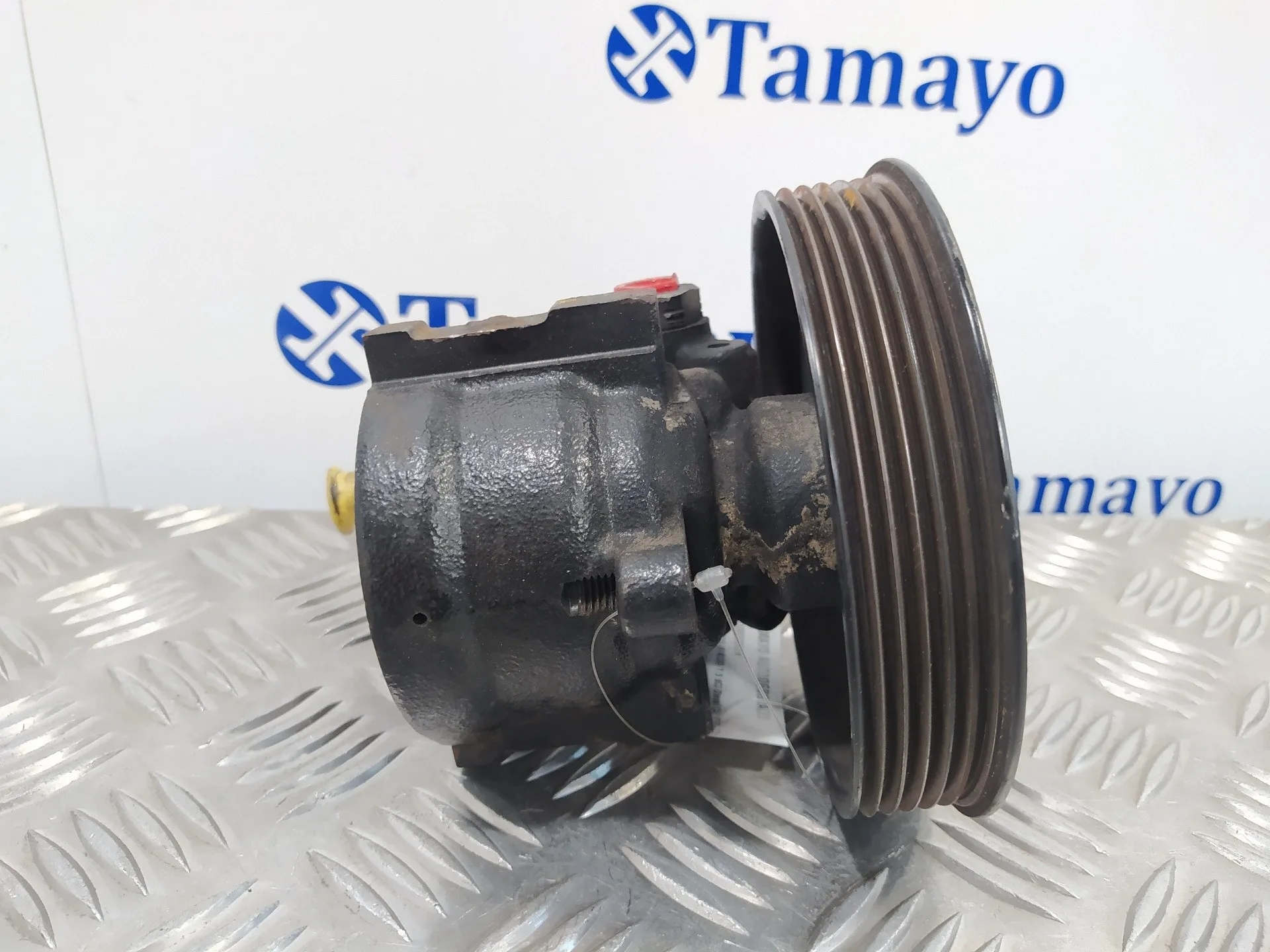 Bomba Direccion para Renault Kangoo (F/Kc0)