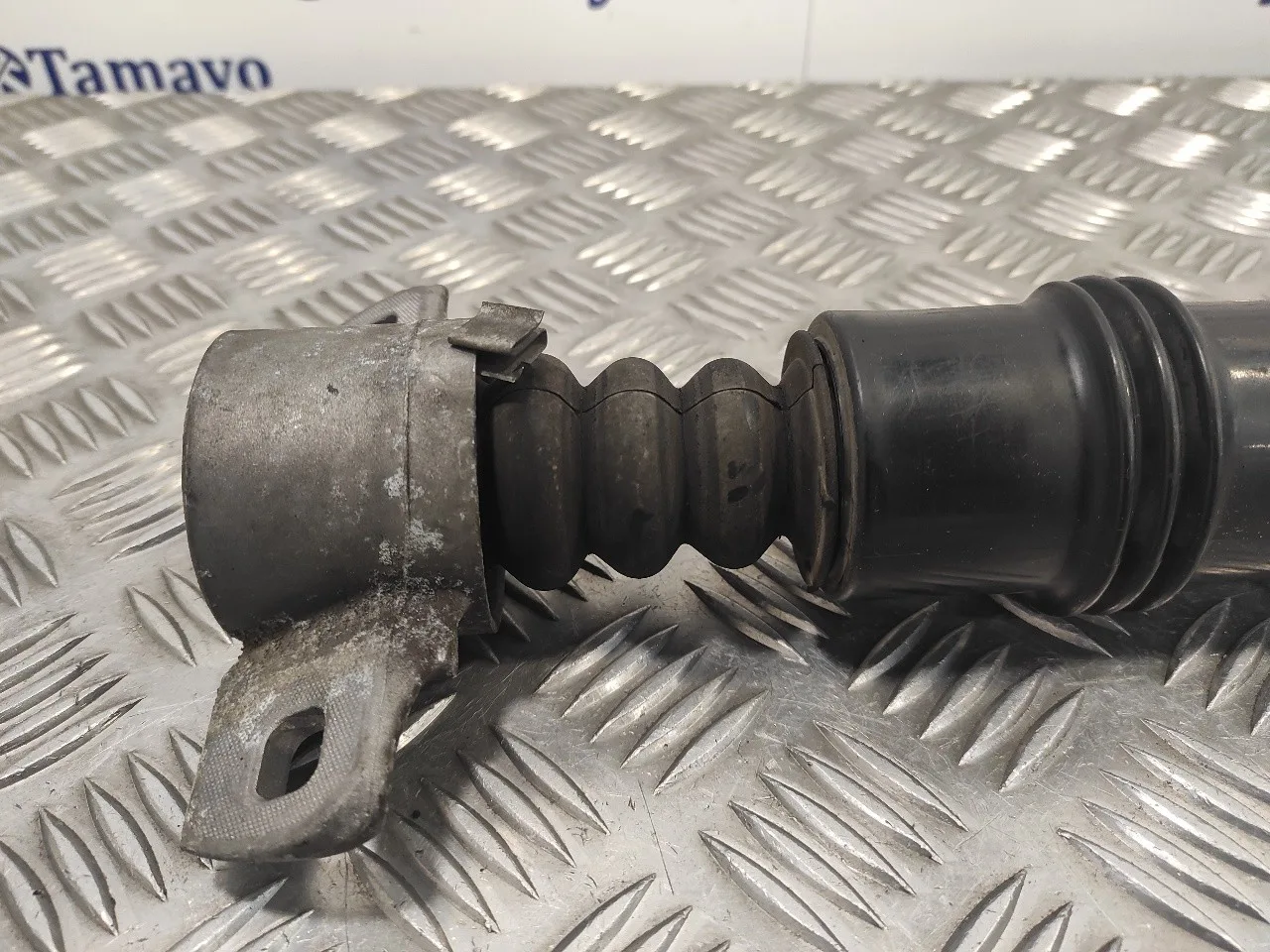Amortiguador Trasero Izquierdo para Citroën Ds4