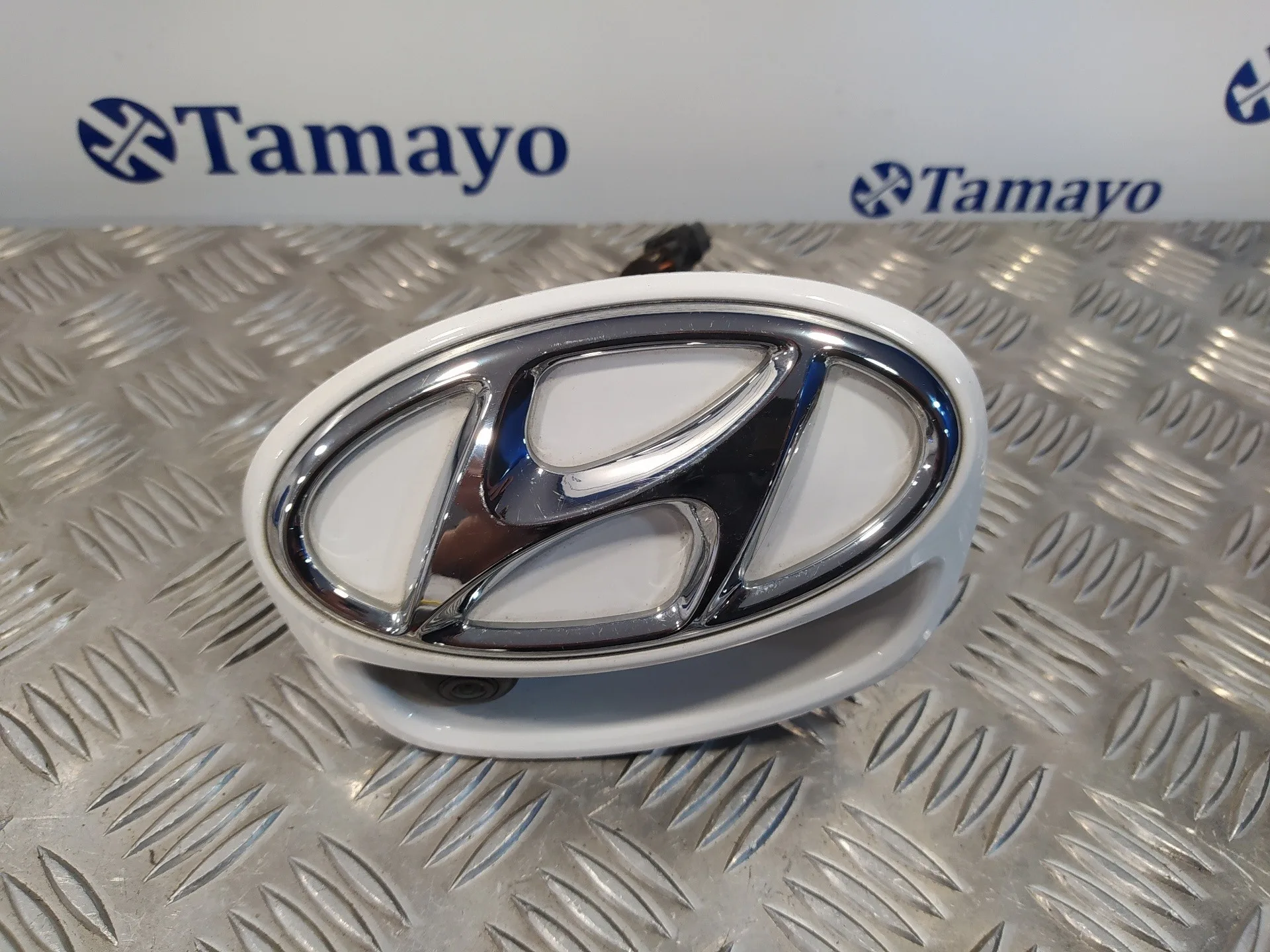 Maneta Exterior Porton para Hyundai Ioniq