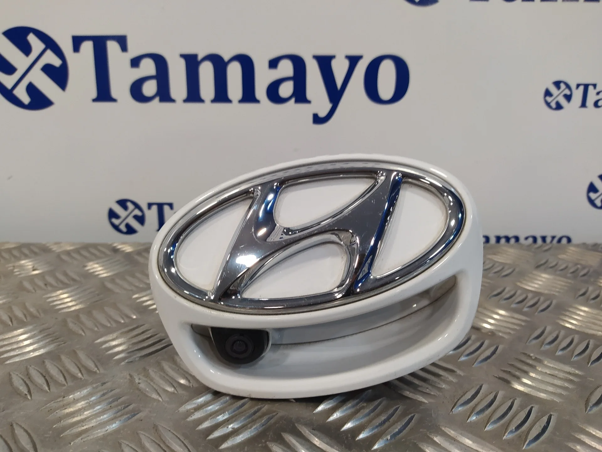 Maneta Exterior Porton para Hyundai Ioniq