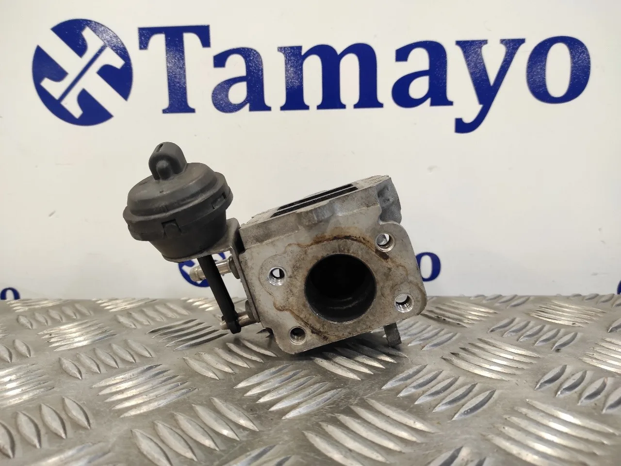Valvula Egr para Volkswagen Golf V Berlina (1K1)