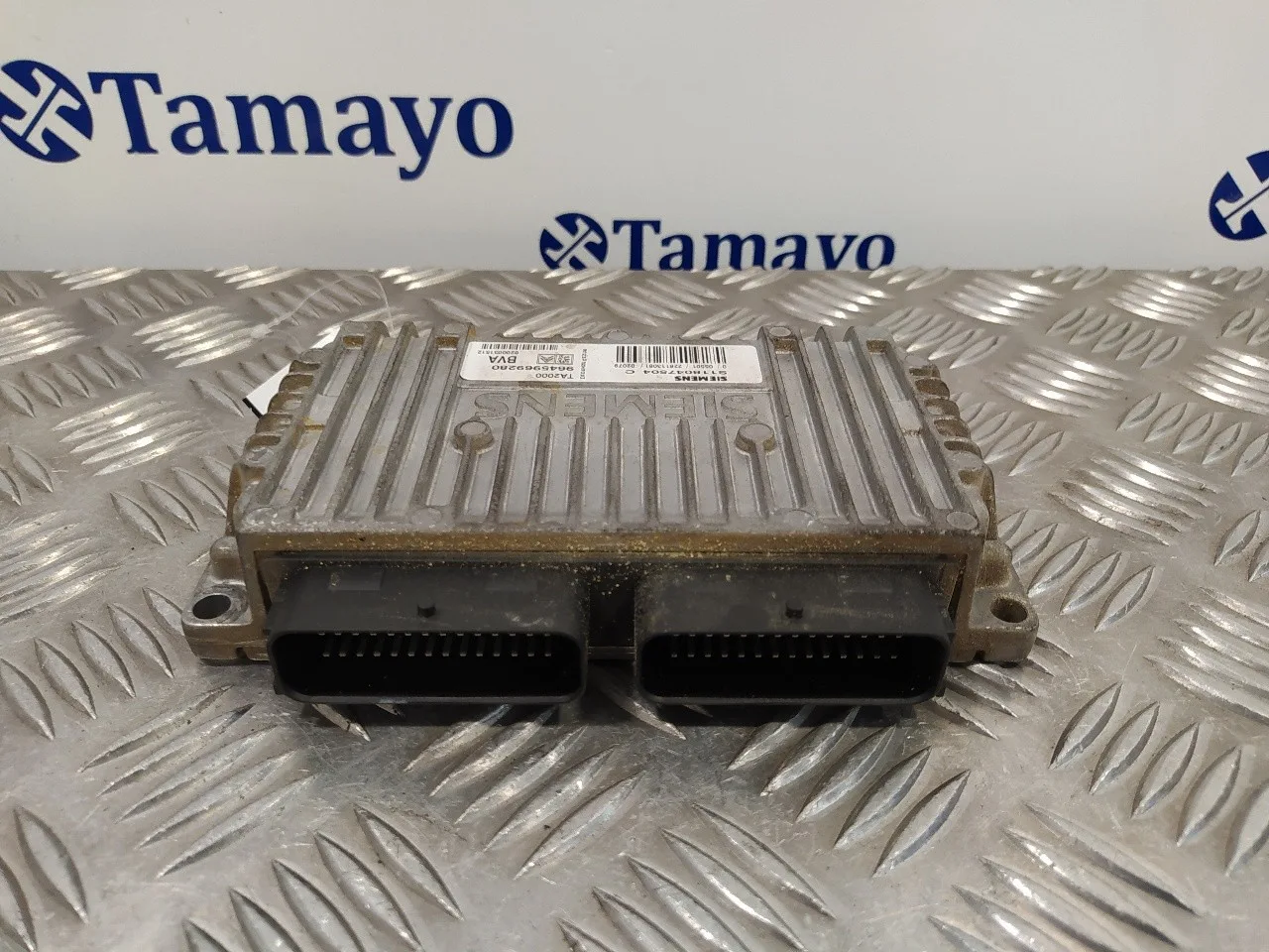 Centralita Cambio Automatico para Peugeot 307 (S1)
