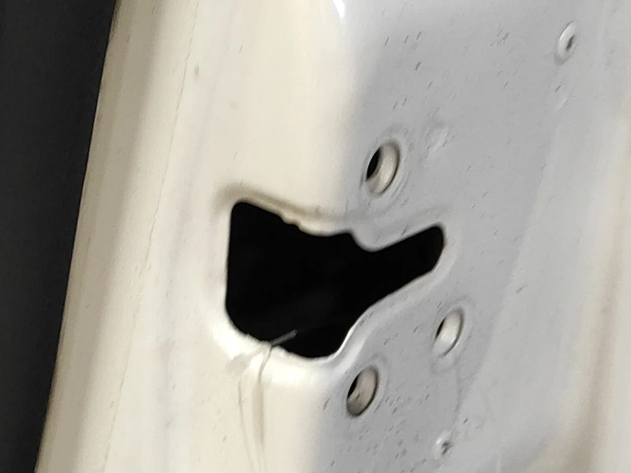 Puerta Delantera Derecha para Renault Fluence