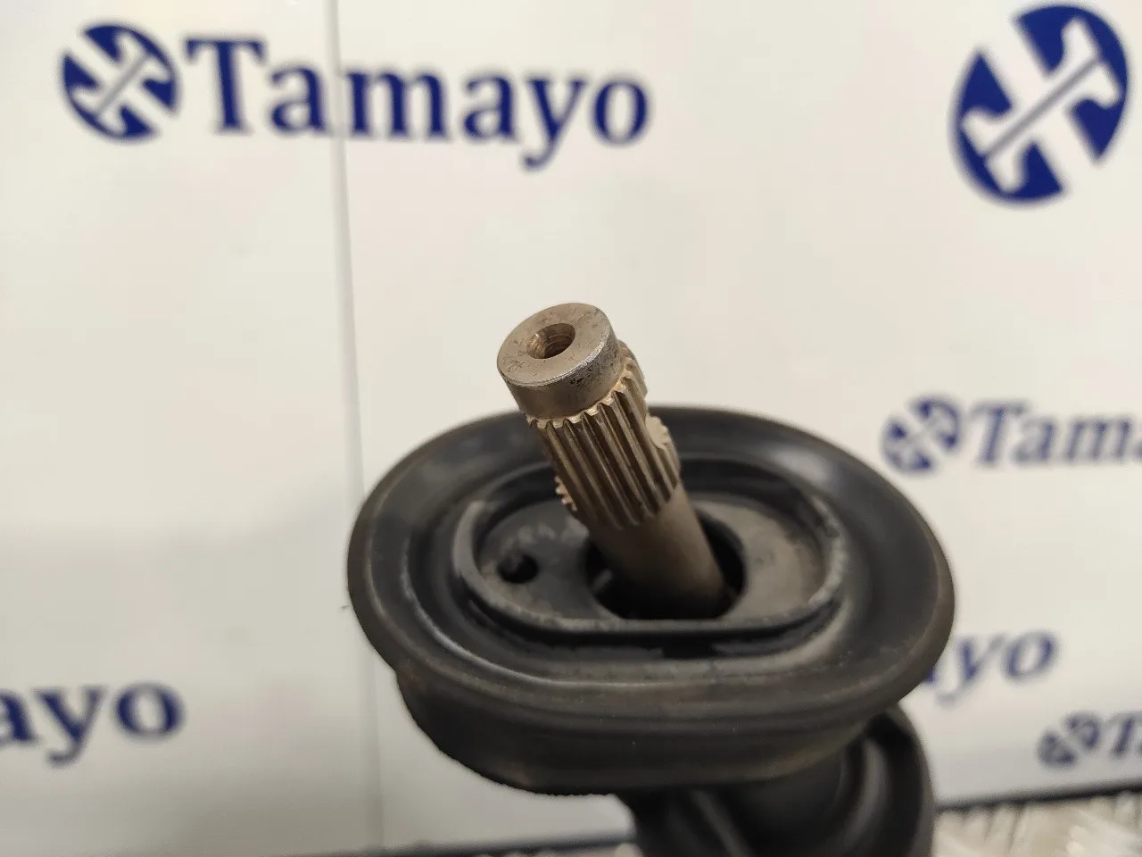 Cremallera Direccion para Seat Toledo (Kg3)