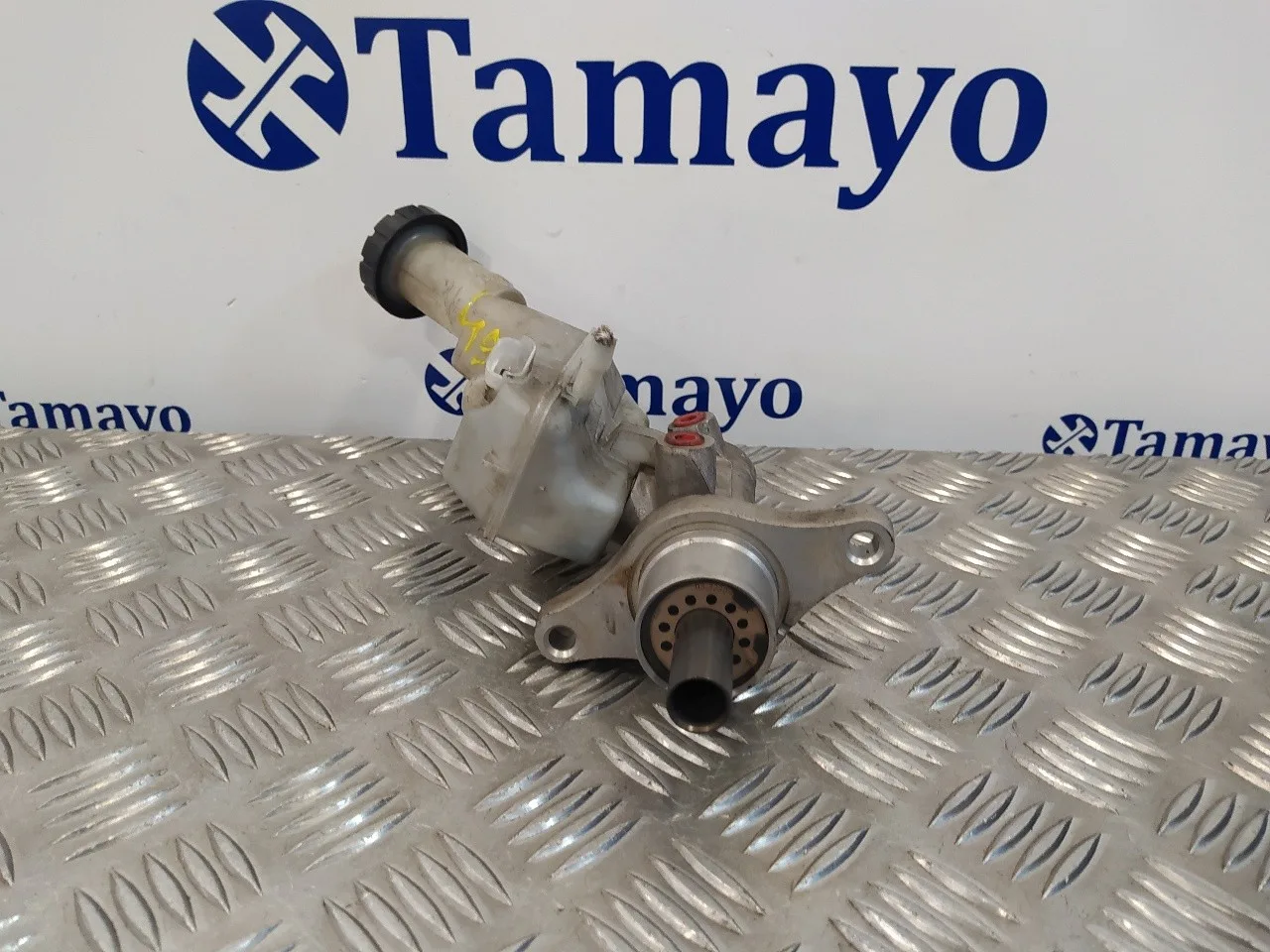 Bomba Freno para Renault Modus