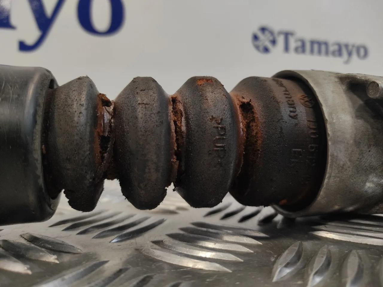 Amortiguador Trasero Derecho para Seat Toledo (Kg3)