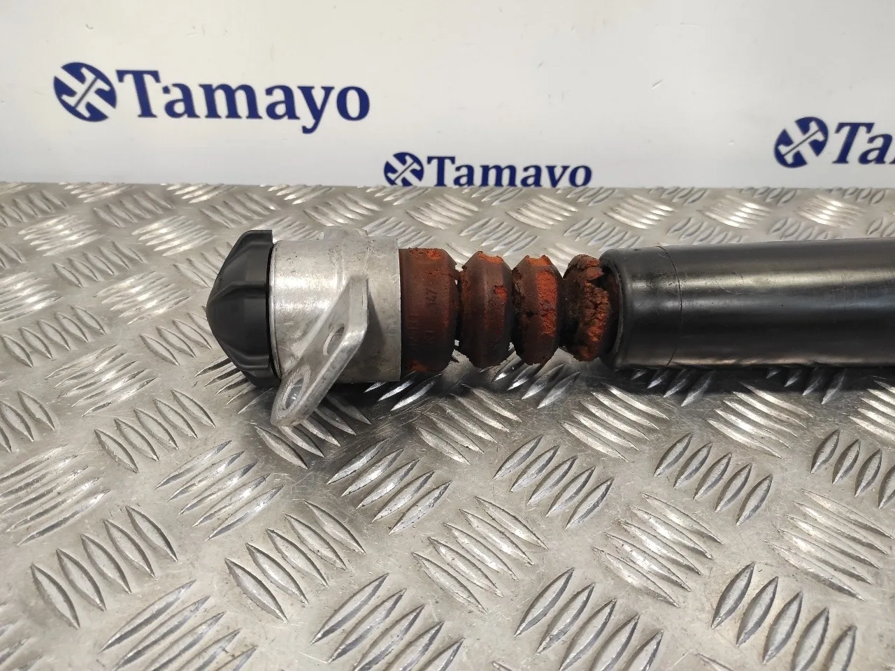Amortiguador Trasero Izquierdo para Seat Toledo (Kg3)