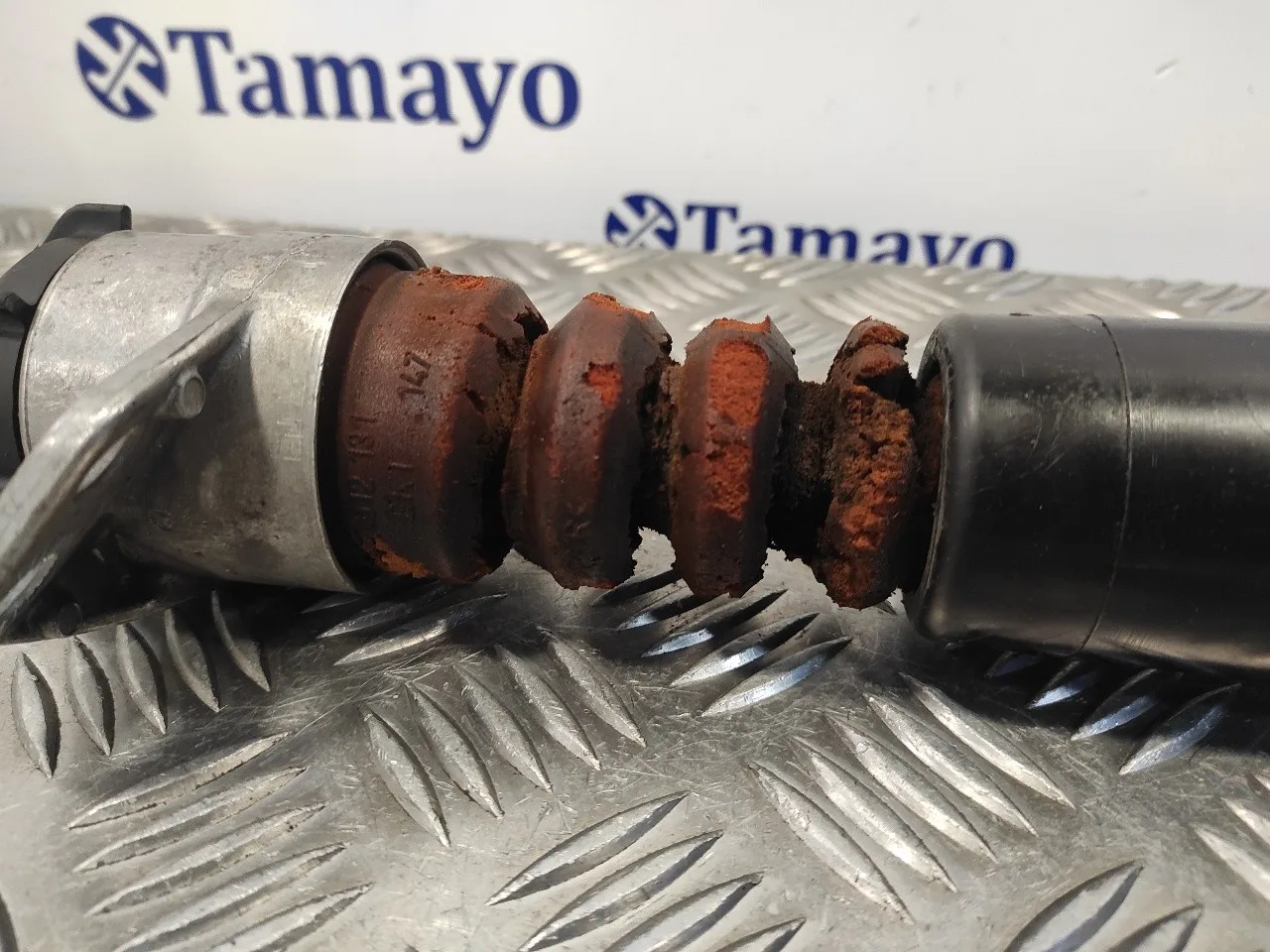 Amortiguador Trasero Izquierdo para Seat Toledo (Kg3)