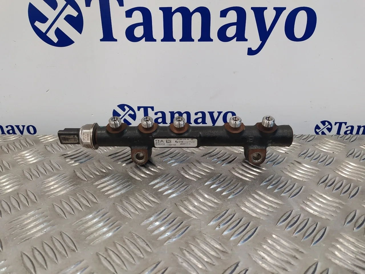 Rampa Inyectora para Ford Fiesta (Cb1)