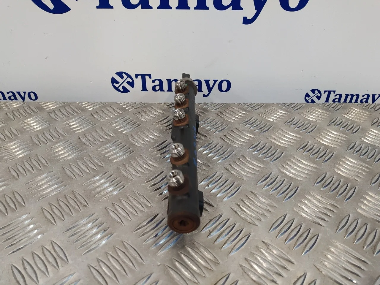 Rampa Inyectora para Ford Fiesta (Cb1)