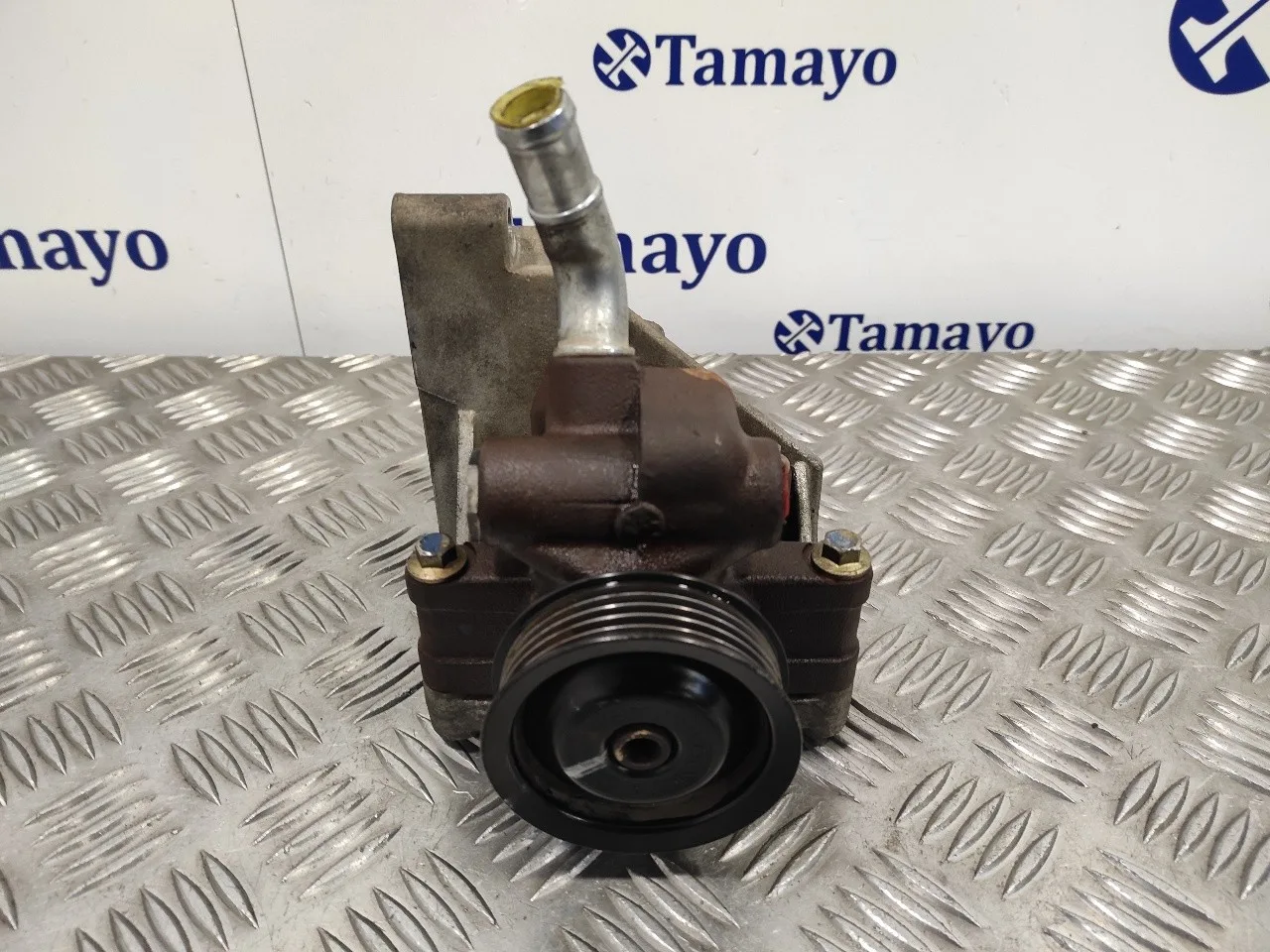 Bomba Direccion para Ford Fiesta (Cbk)