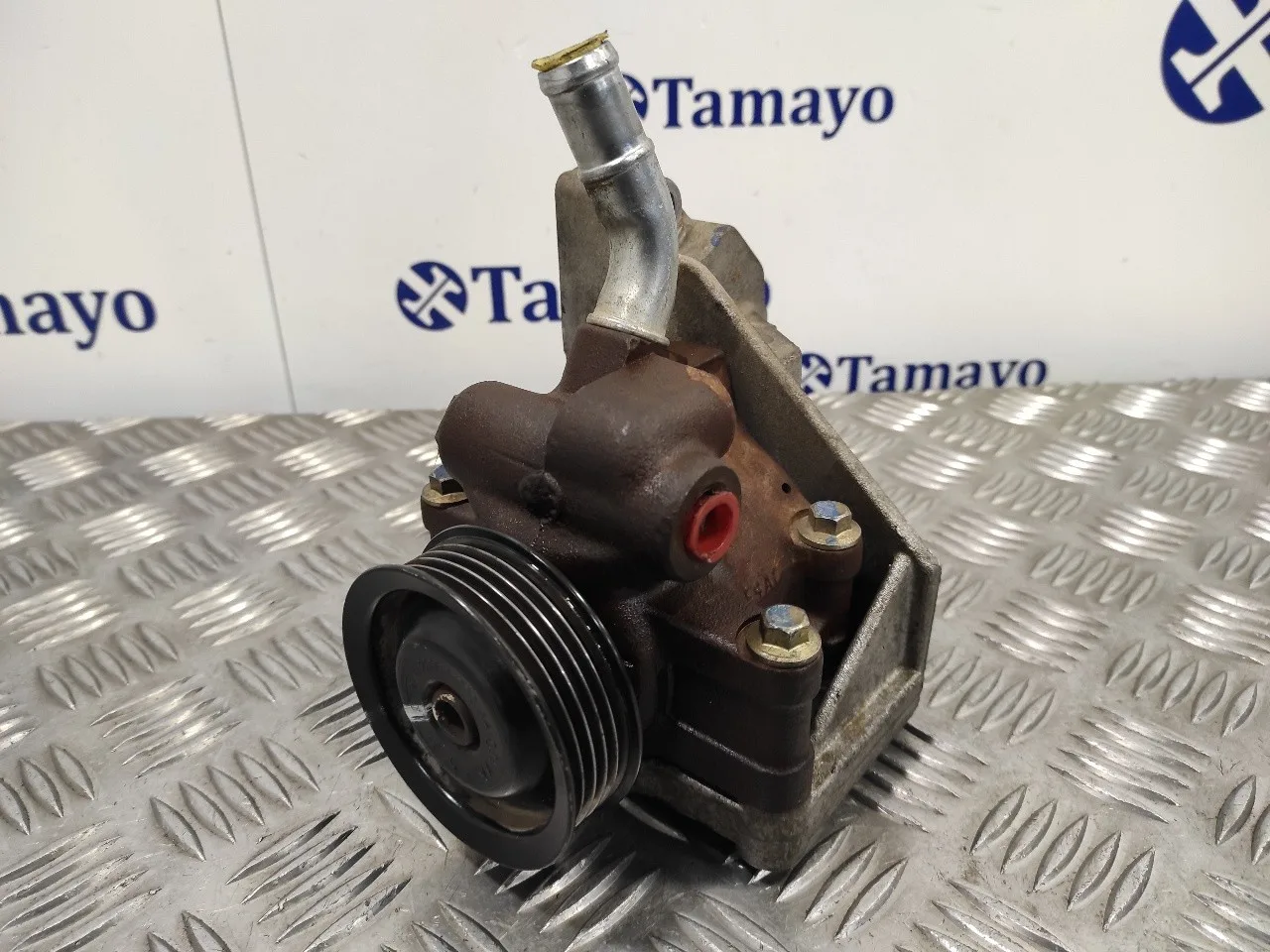 Bomba Direccion para Ford Fiesta (Cbk)
