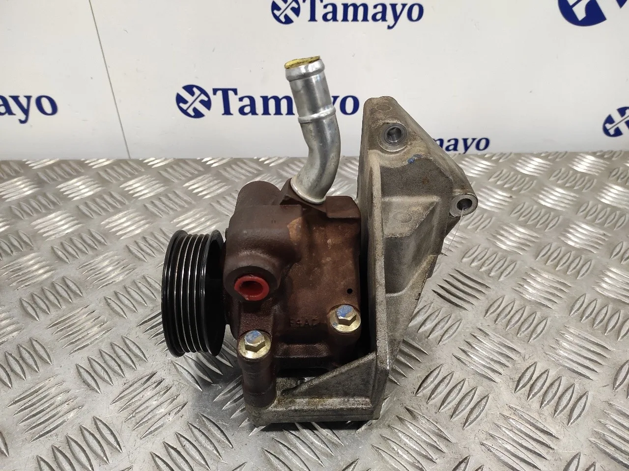 Bomba Direccion para Ford Fiesta (Cbk)